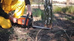 Mulching Services in Wallenpaupack Lake Estates, PA